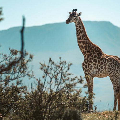 What is sustainable tourism NRDA What is sustainable tourism
